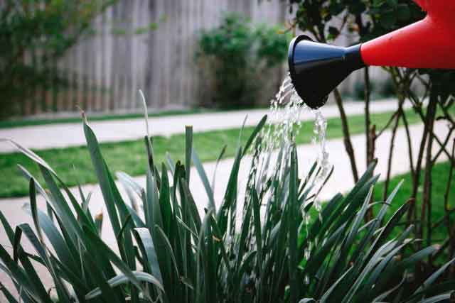 敷地内のお手入れ代行
